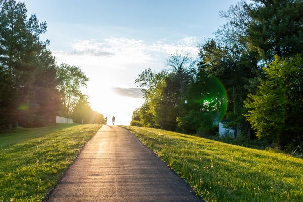 Cost of Asphalt Pathway Installation in Oakland
