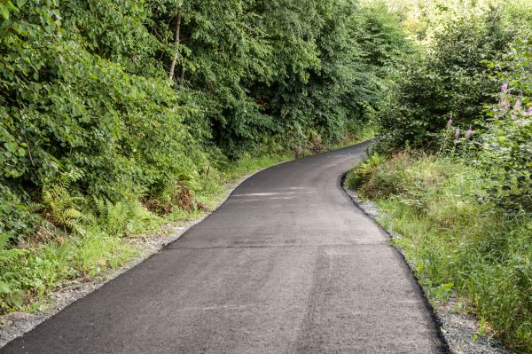 Cost of Asphalt Driveway Replacement in Oakland